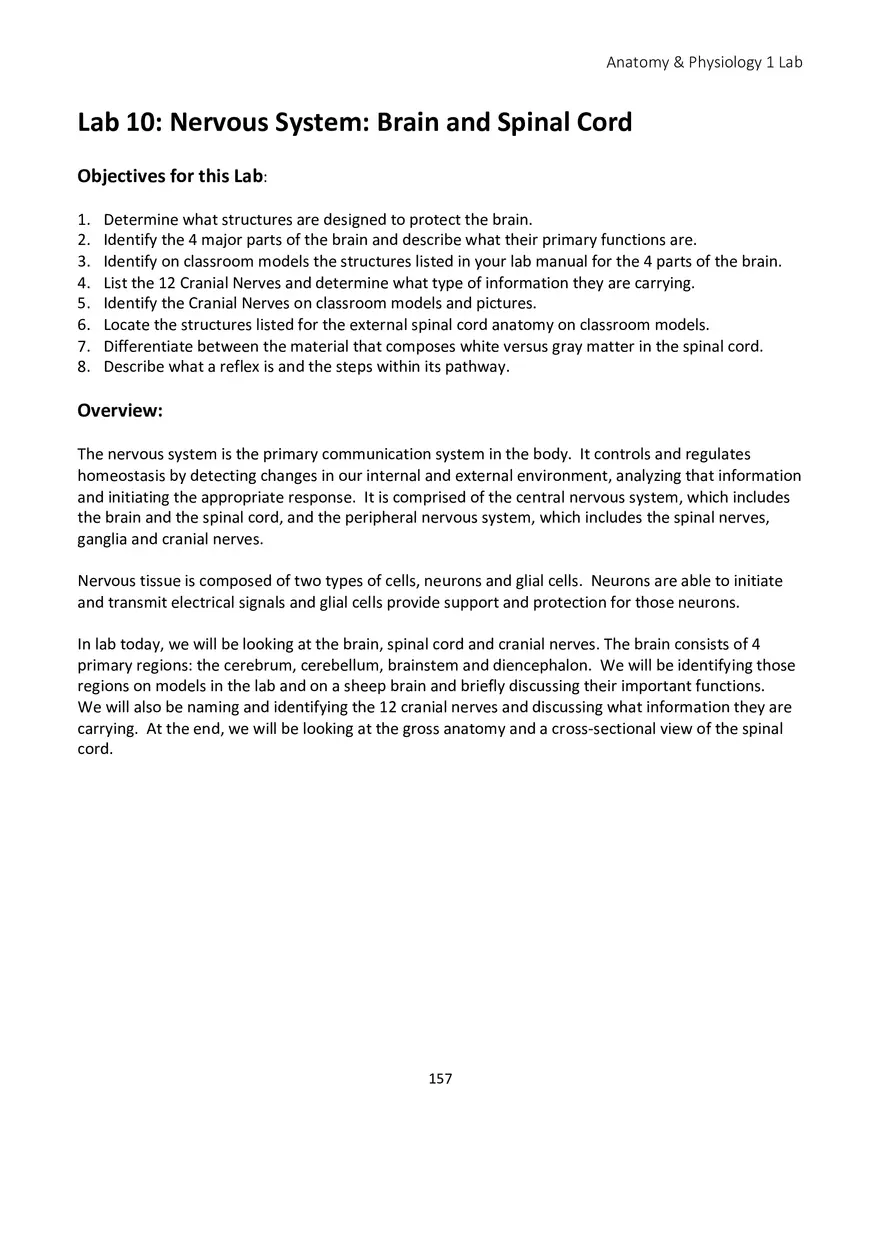 Lab 10 Nervous System Brain and Spinal Cord - Page 1