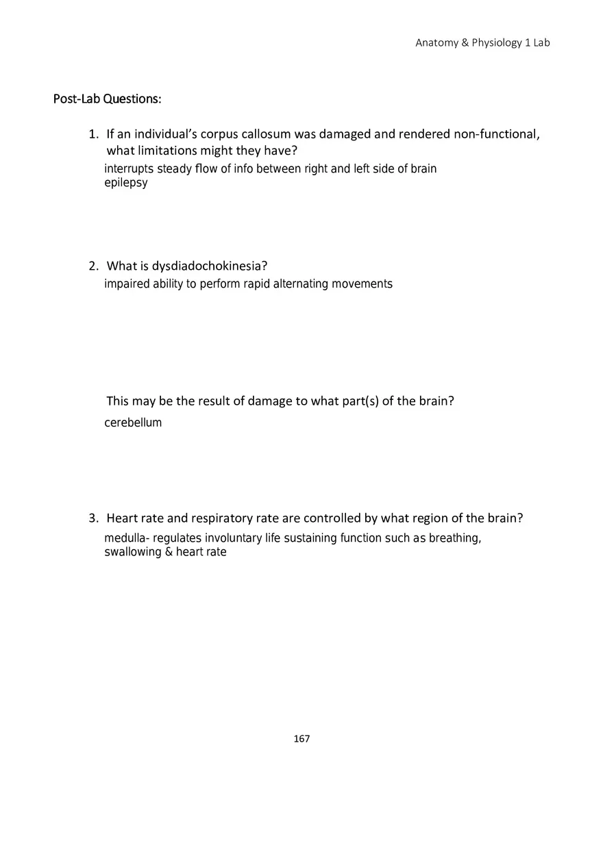 Lab 10 Nervous System Brain and Spinal Cord - Page 3