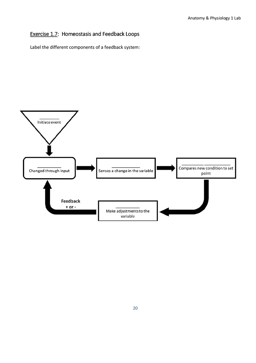 Lab 1 Body Plan and Homeostasis - Page 9