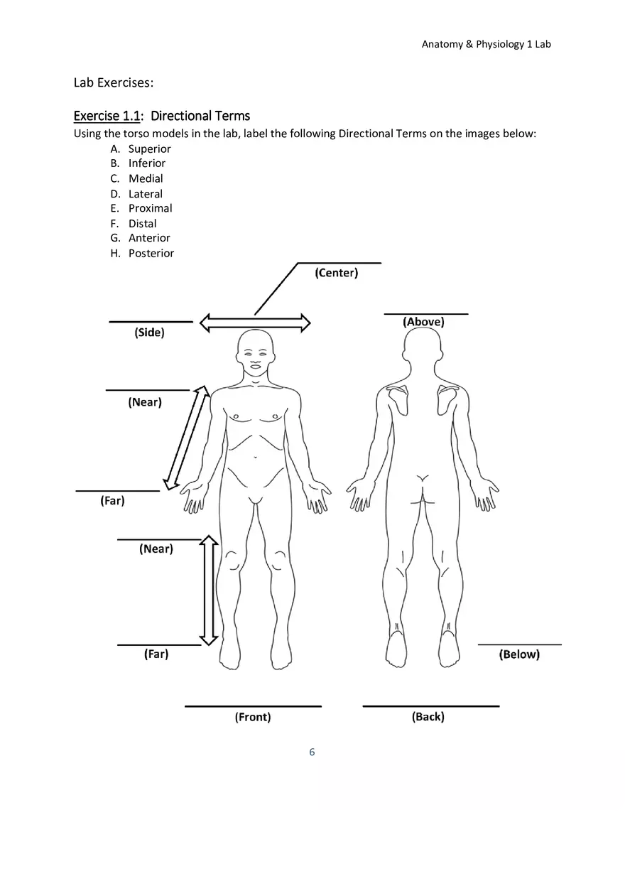 Lab 1 Body Plan and Homeostasis - Page 12