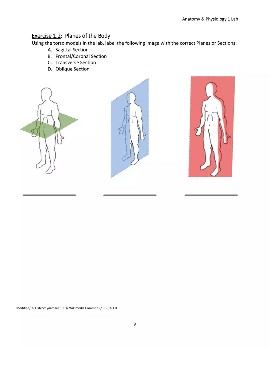 Lab 1 Body Plan and Homeostasis - Page 15