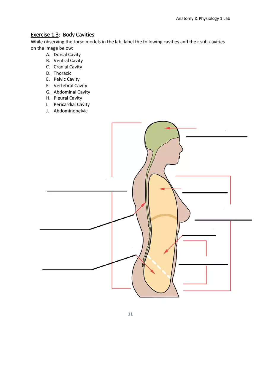 Lab 1 Body Plan and Homeostasis - Page 17