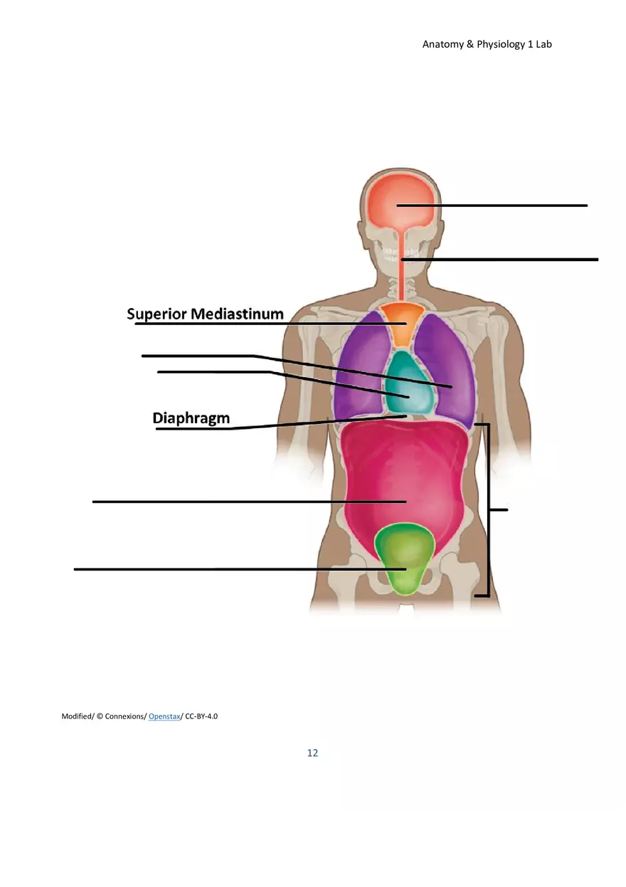 Lab 1 Body Plan and Homeostasis - Page 18