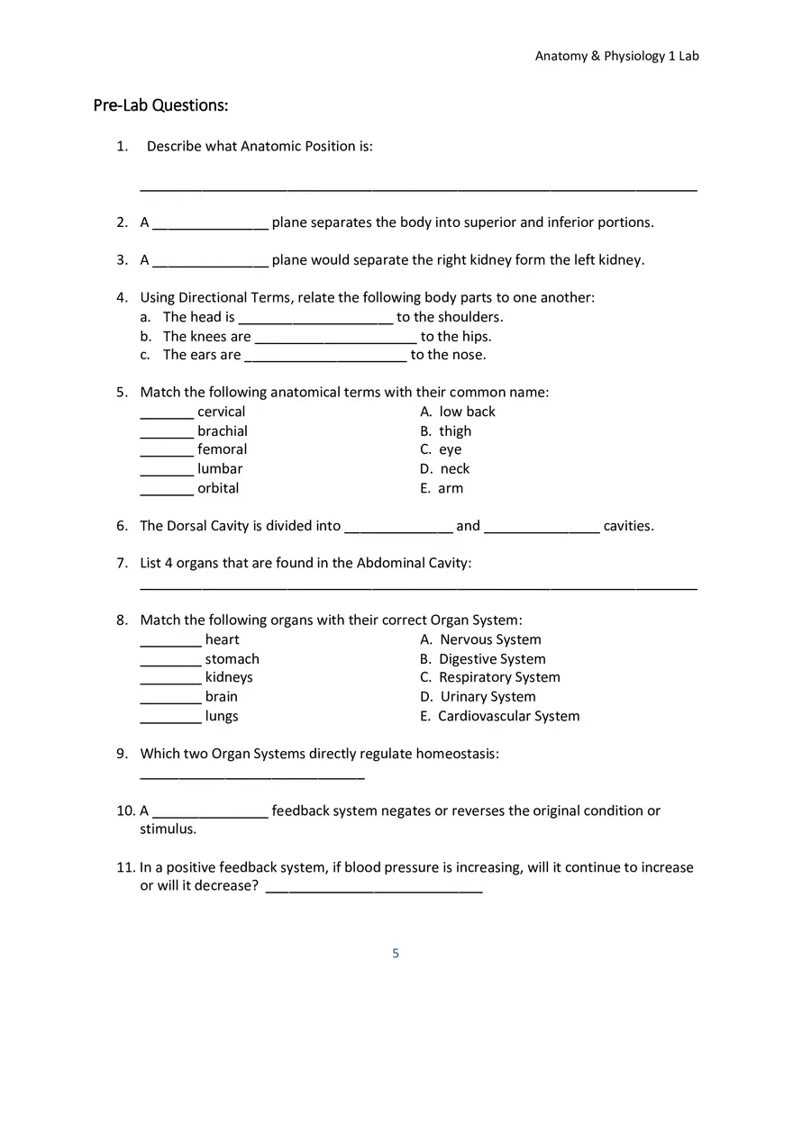 Lab 1 Body Plan and Homeostasis - Page 2