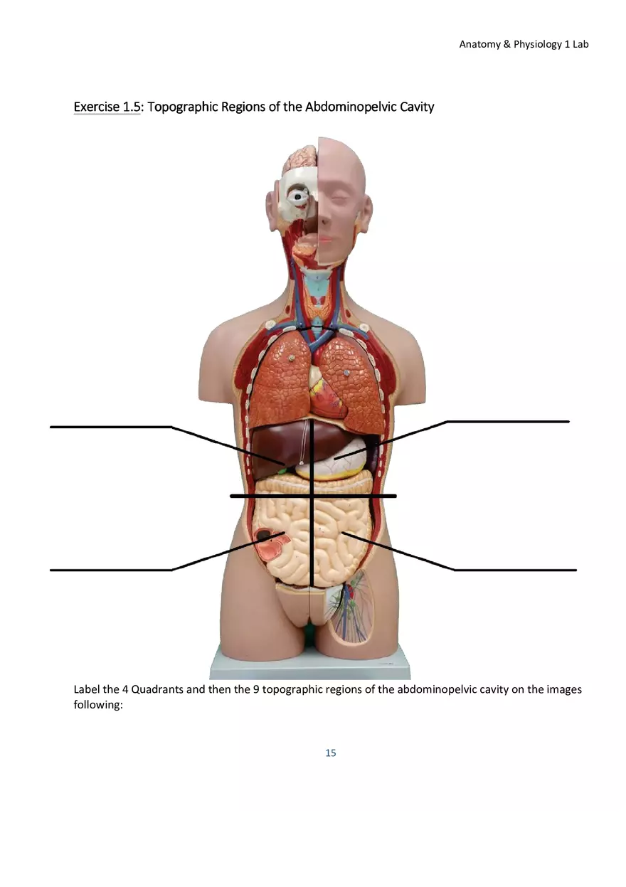 Lab 1 Body Plan and Homeostasis - Page 4