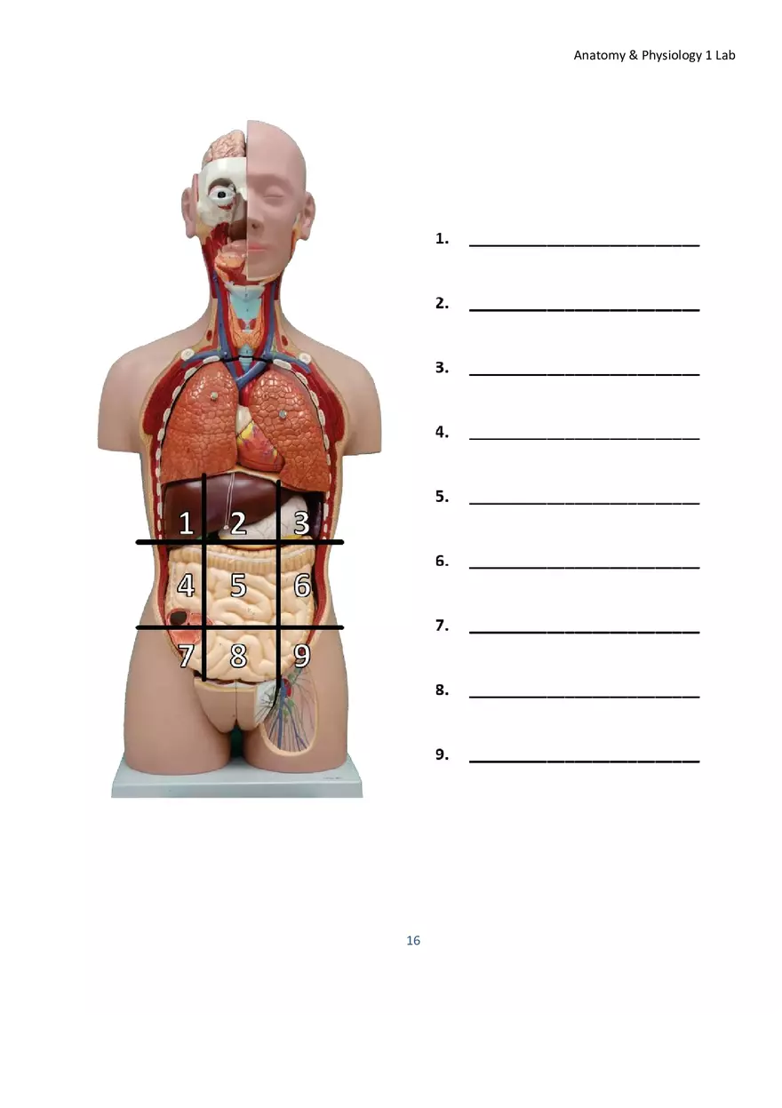 Lab 1 Body Plan and Homeostasis - Page 5