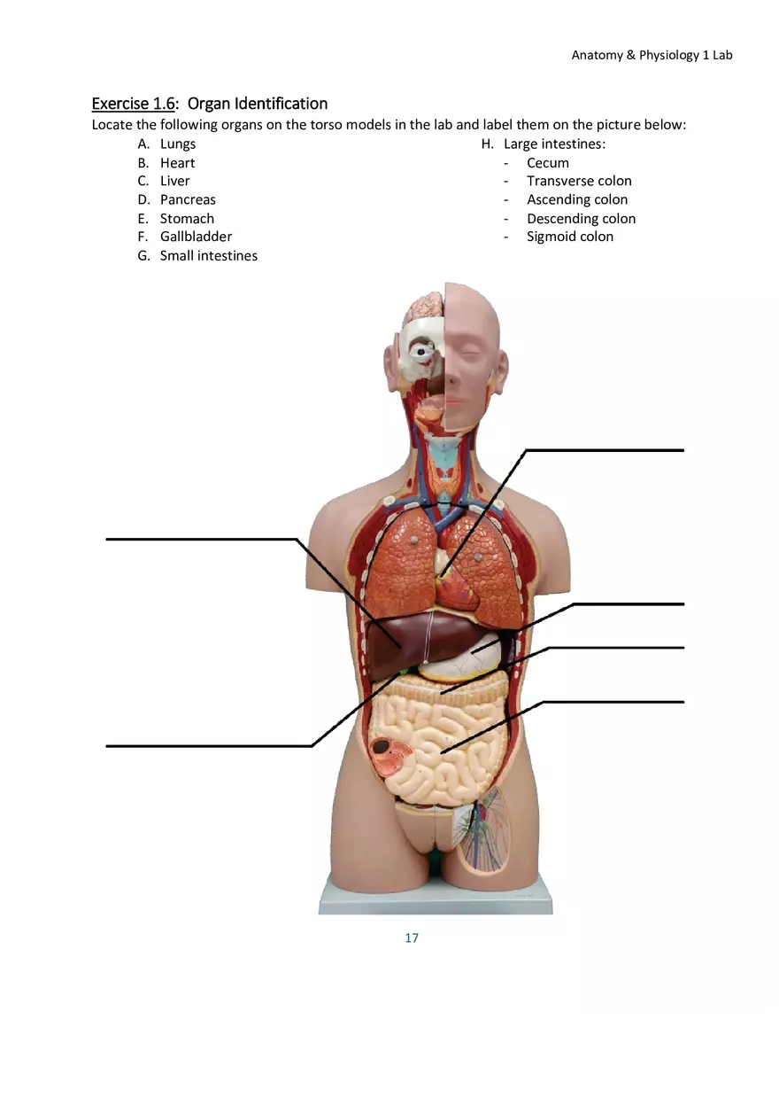Lab 1 Body Plan and Homeostasis - Page 6