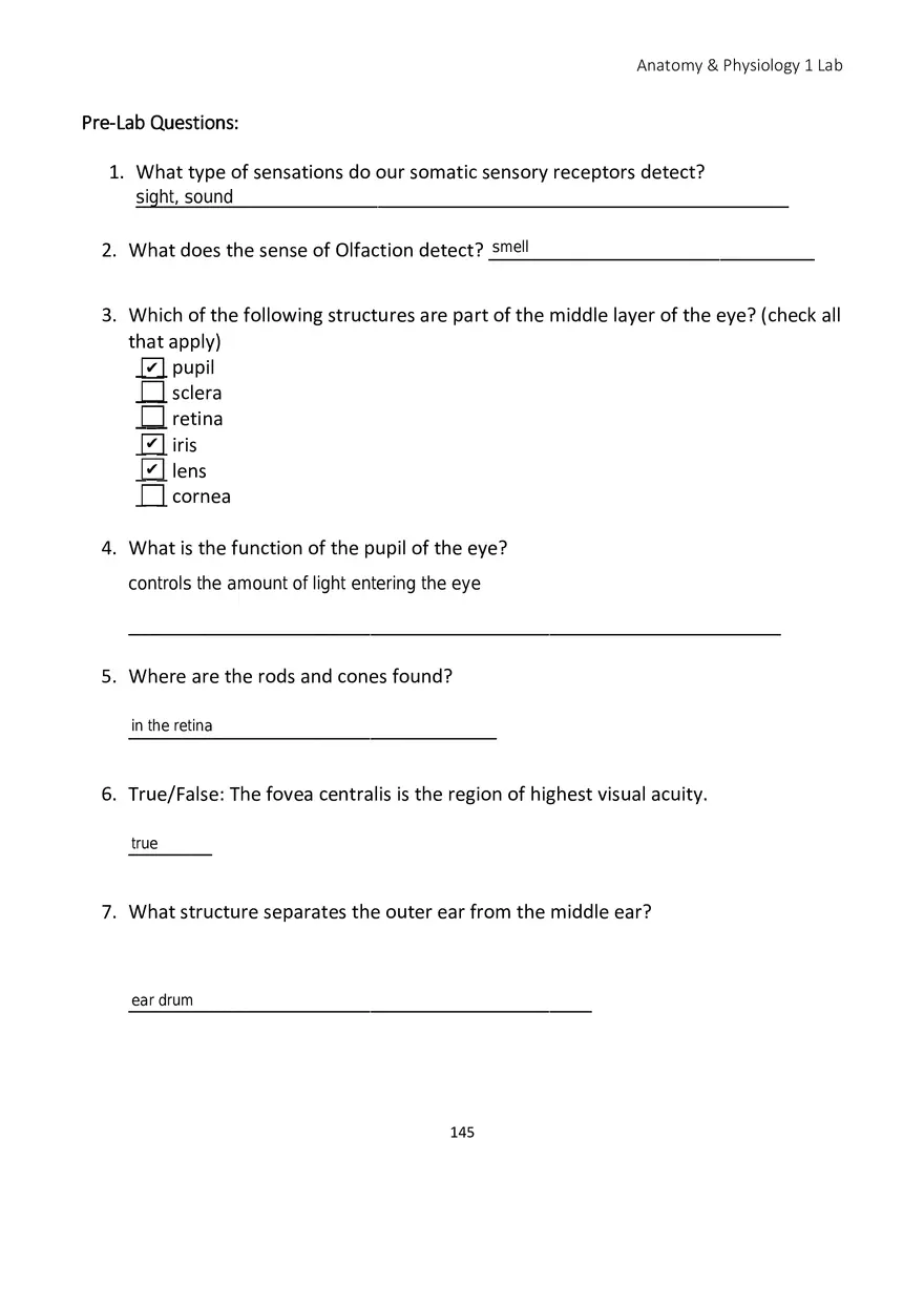 Lab 9 Sensory Organs Eye and Ear - Page 2