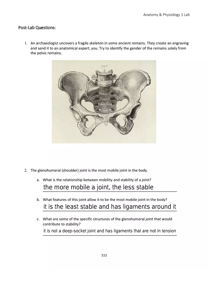 Lab 6 Skeletal System Appendicular Skeleton - Page 8
