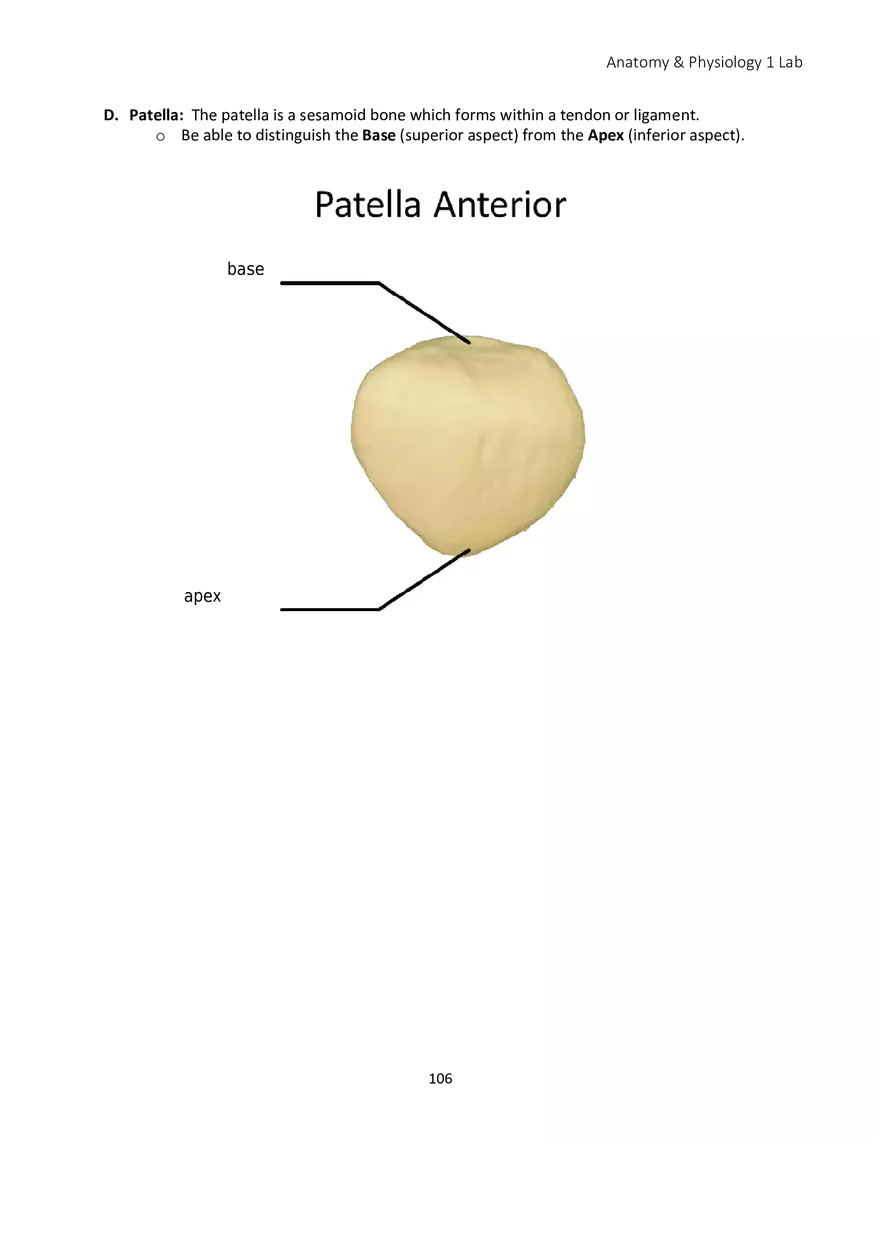 Lab 6 Skeletal System Appendicular Skeleton - Page 3