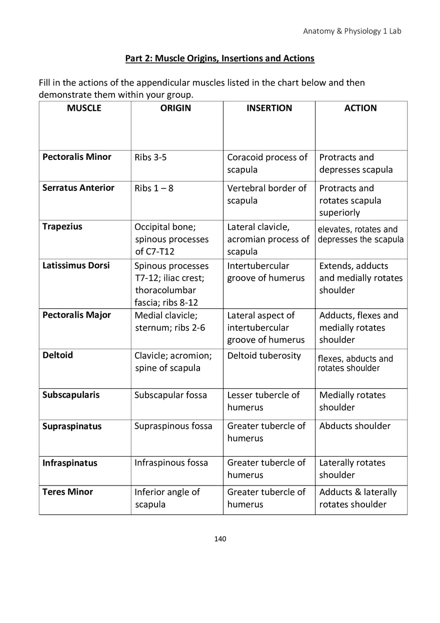 Lab 8 Muscular System Appendicular Muscles - Page 11