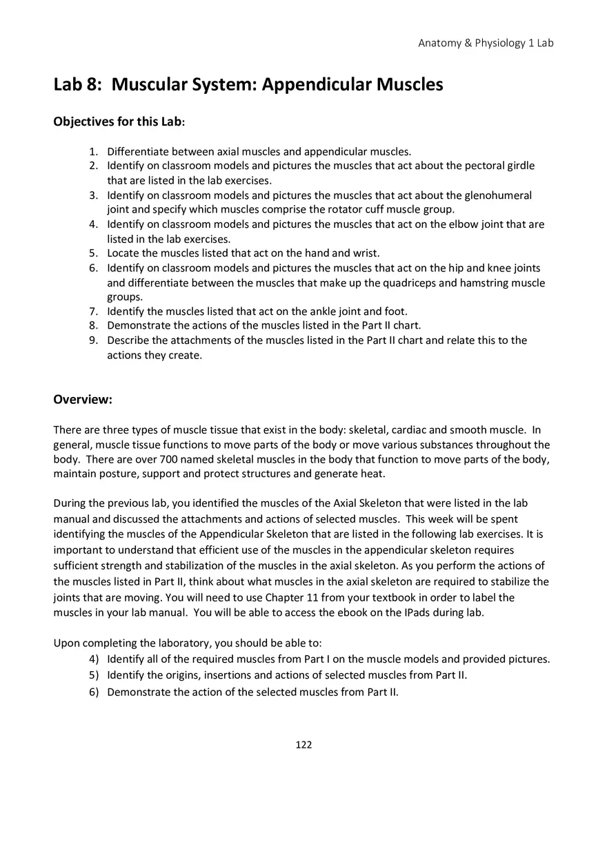 Lab 8 Muscular System Appendicular Muscles - Page 1