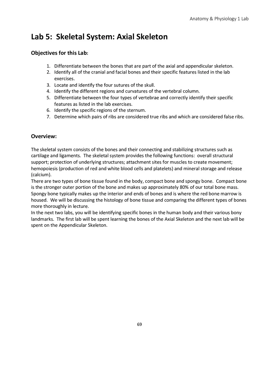 Lab 5 Skeletal System Axial Skeleton - Page 1