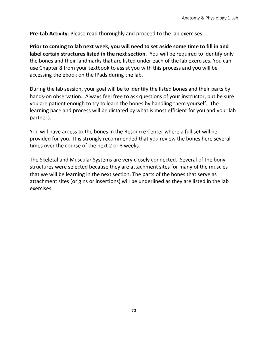 Lab 5 Skeletal System Axial Skeleton - Page 2