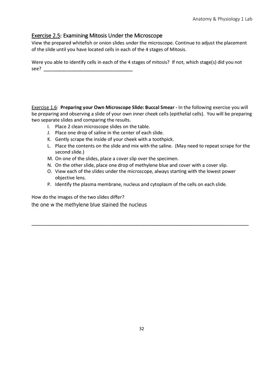Lab 2 Microscope and the Cell - Page 11