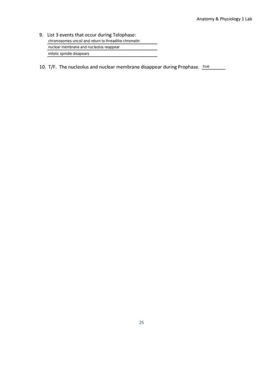 Lab 2 Microscope and the Cell - Page 4