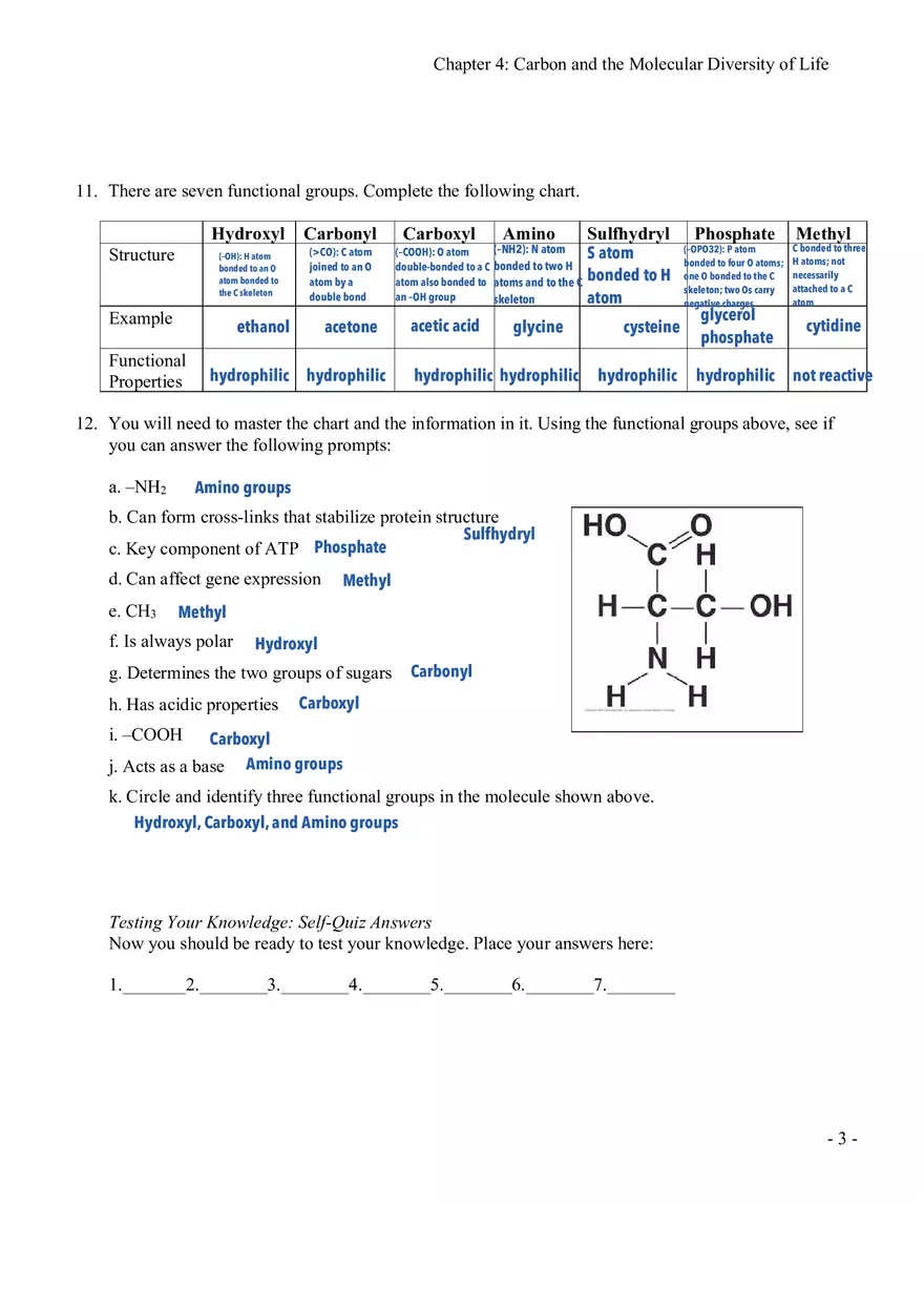 Chapter 4 Carbon and the Molecular Diversity of Life - Page 3