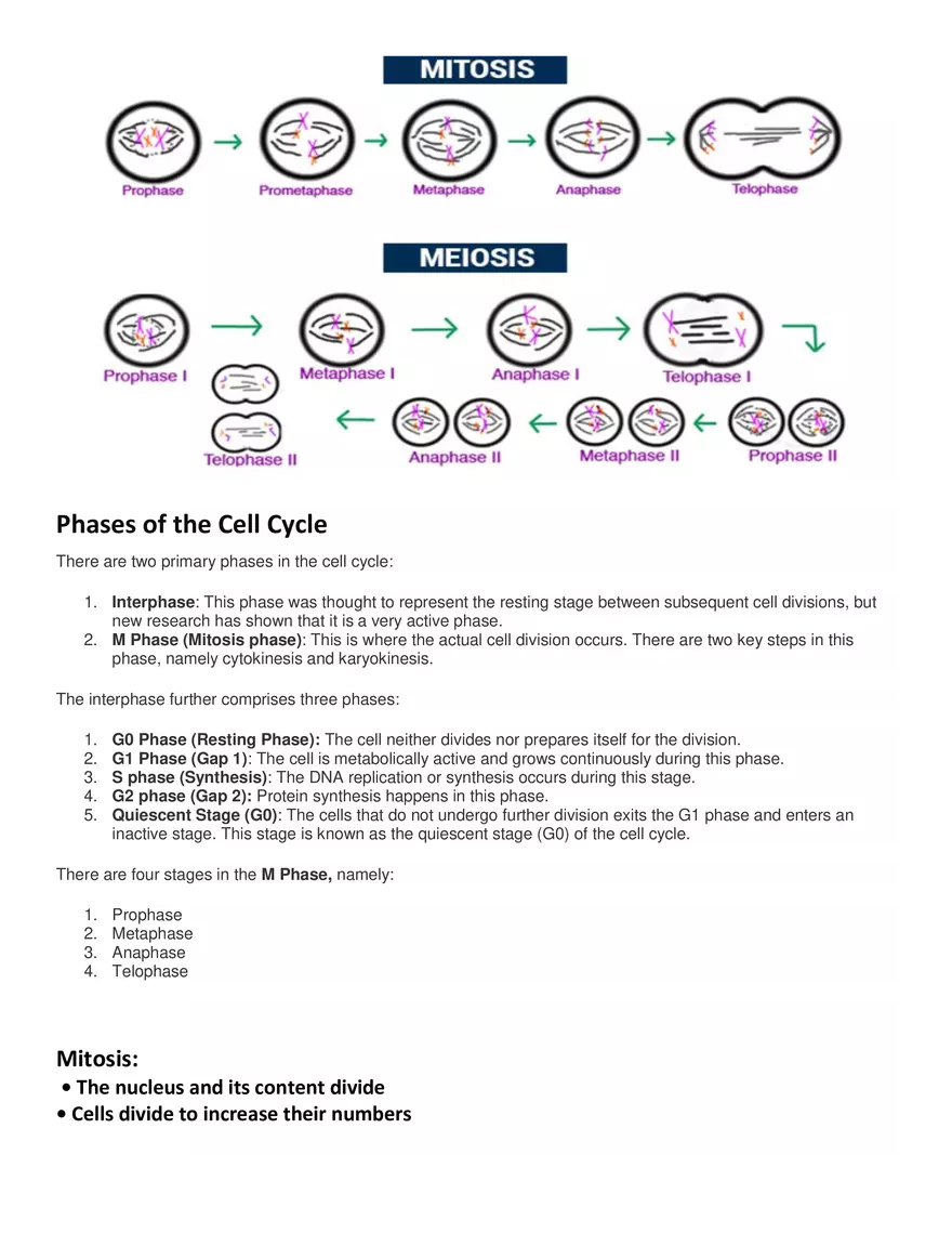 Characteristics of Cells - Page 7