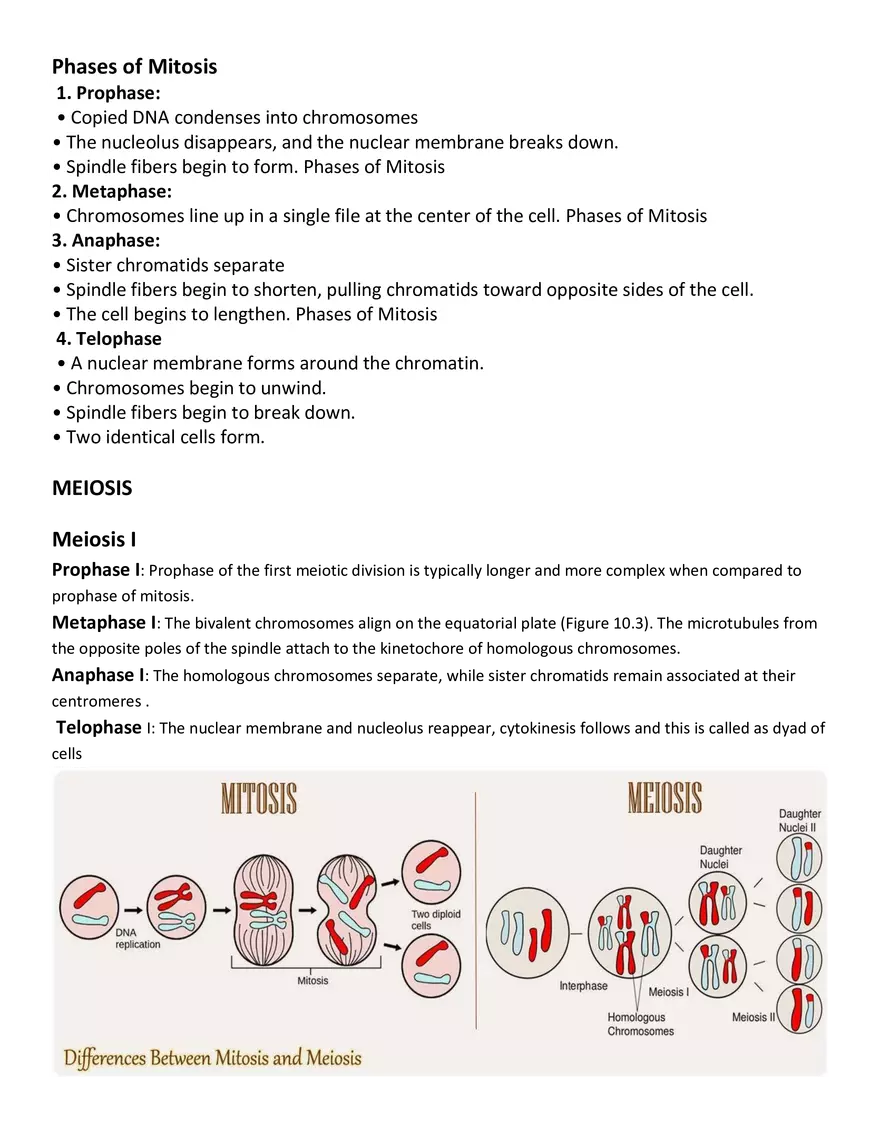 Characteristics of Cells - Page 8