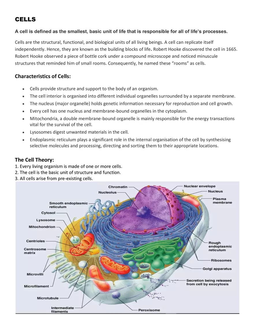 Characteristics of Cells - Page 1