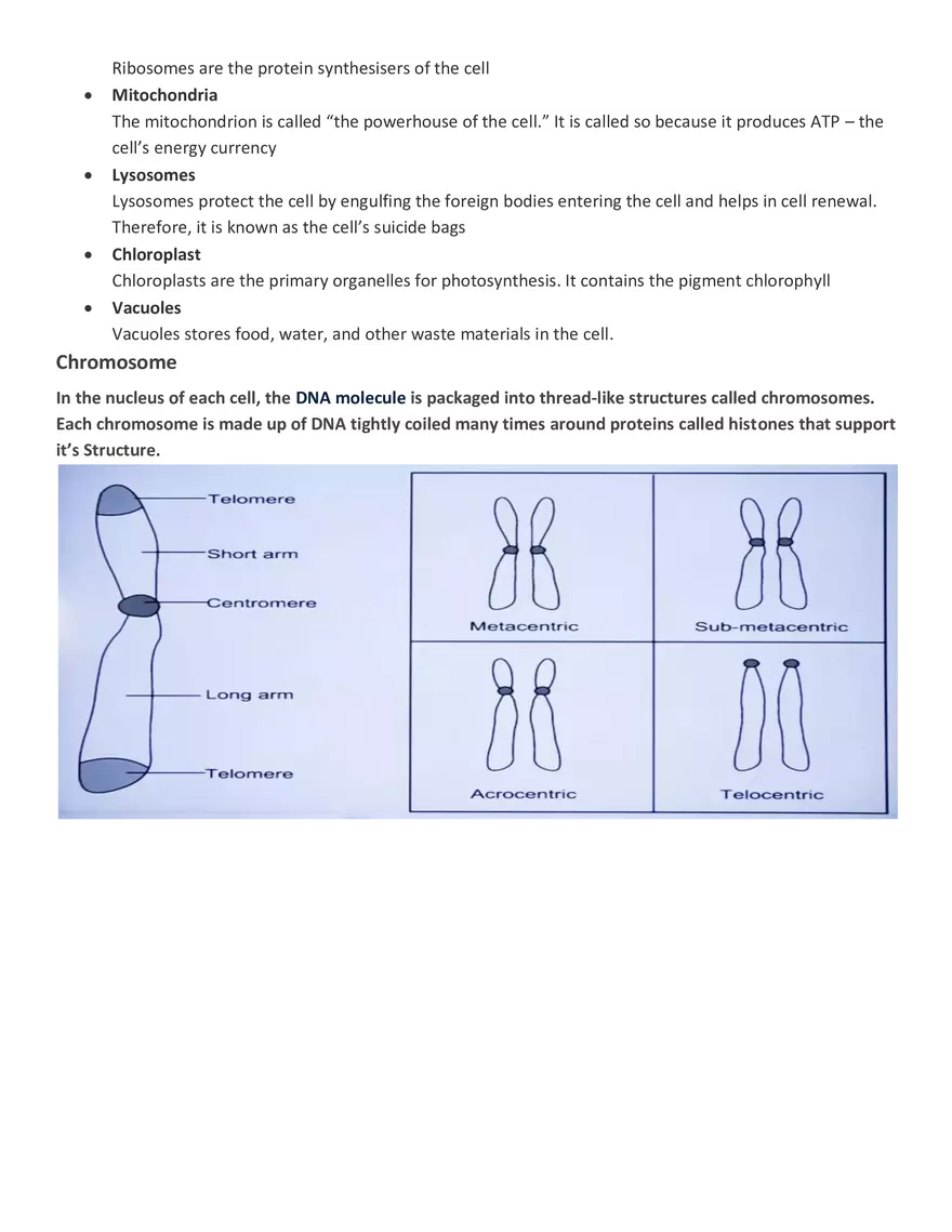 Characteristics of Cells - Page 4