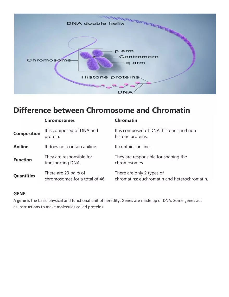 Characteristics of Cells - Page 5