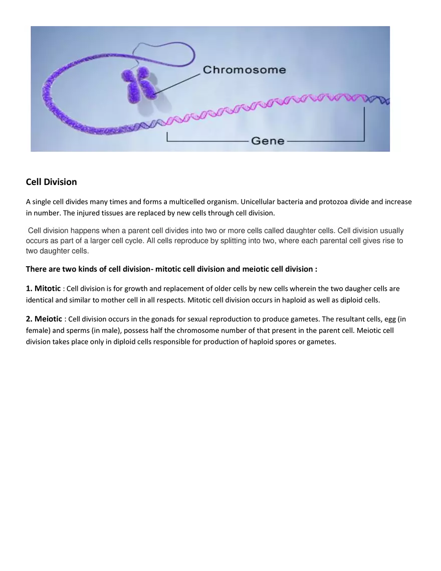 Characteristics of Cells - Page 6