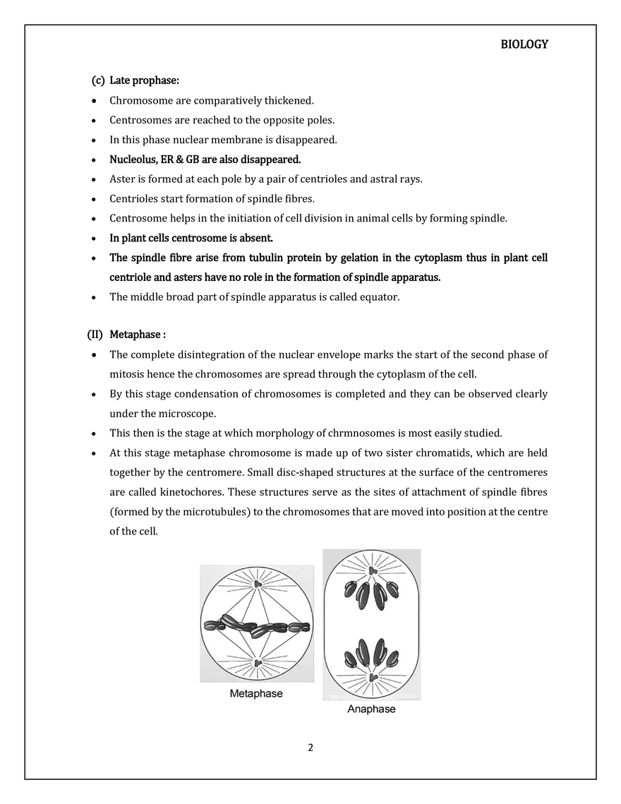 Cell Cycle and Cell Division M Phase - Page 2