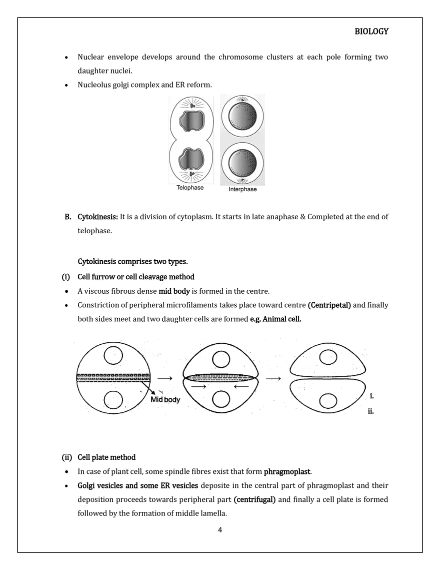 Cell Cycle and Cell Division M Phase - Page 4