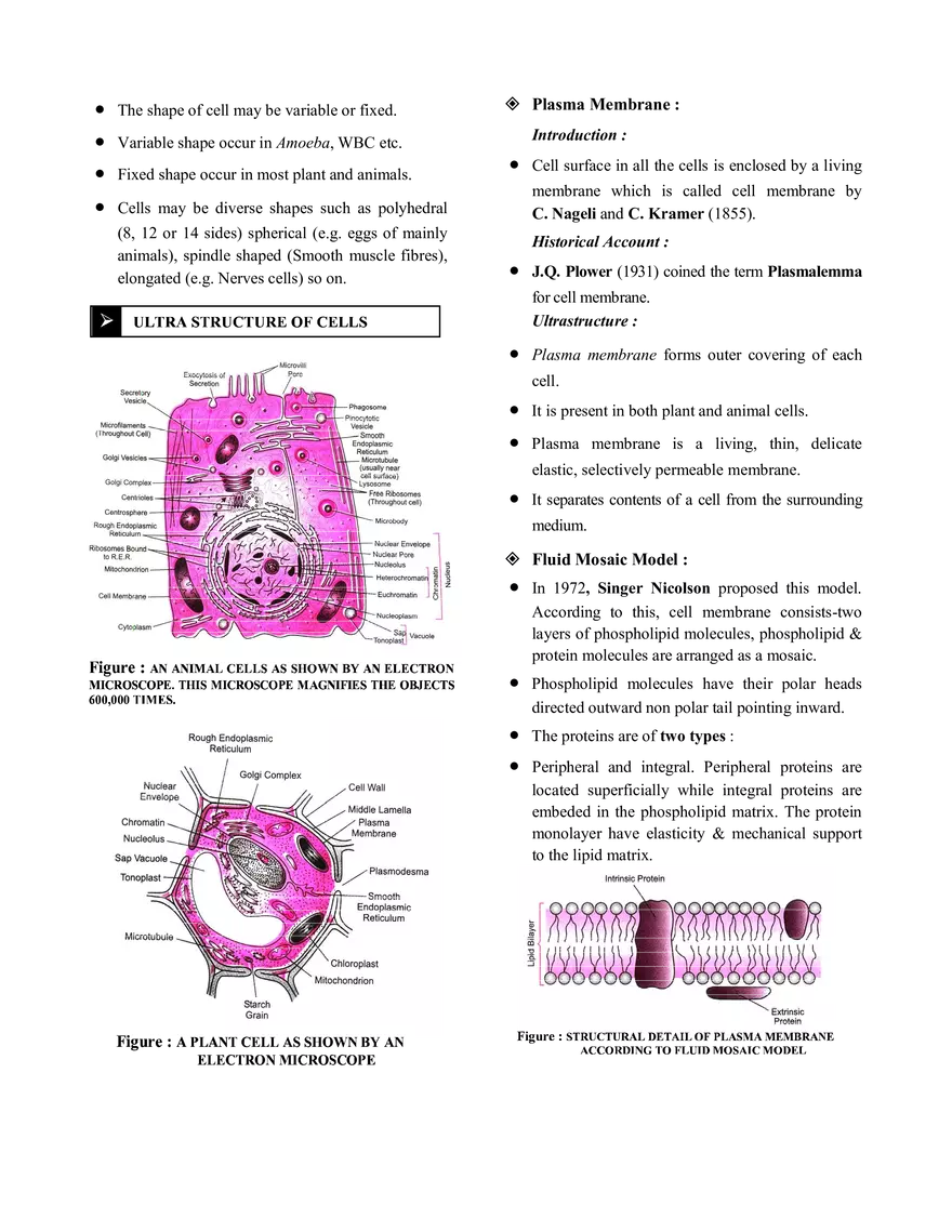 The Cell  Notes - Page 2