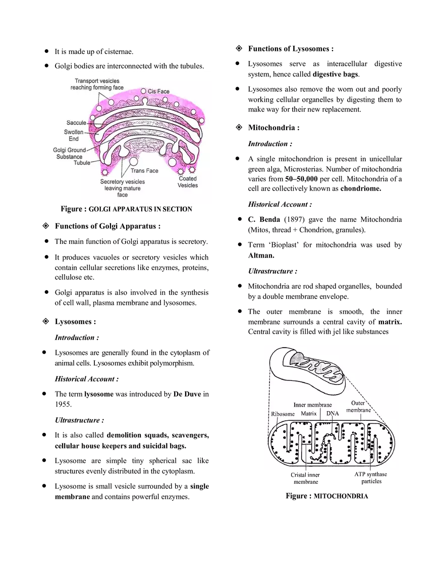 The Cell  Notes - Page 5