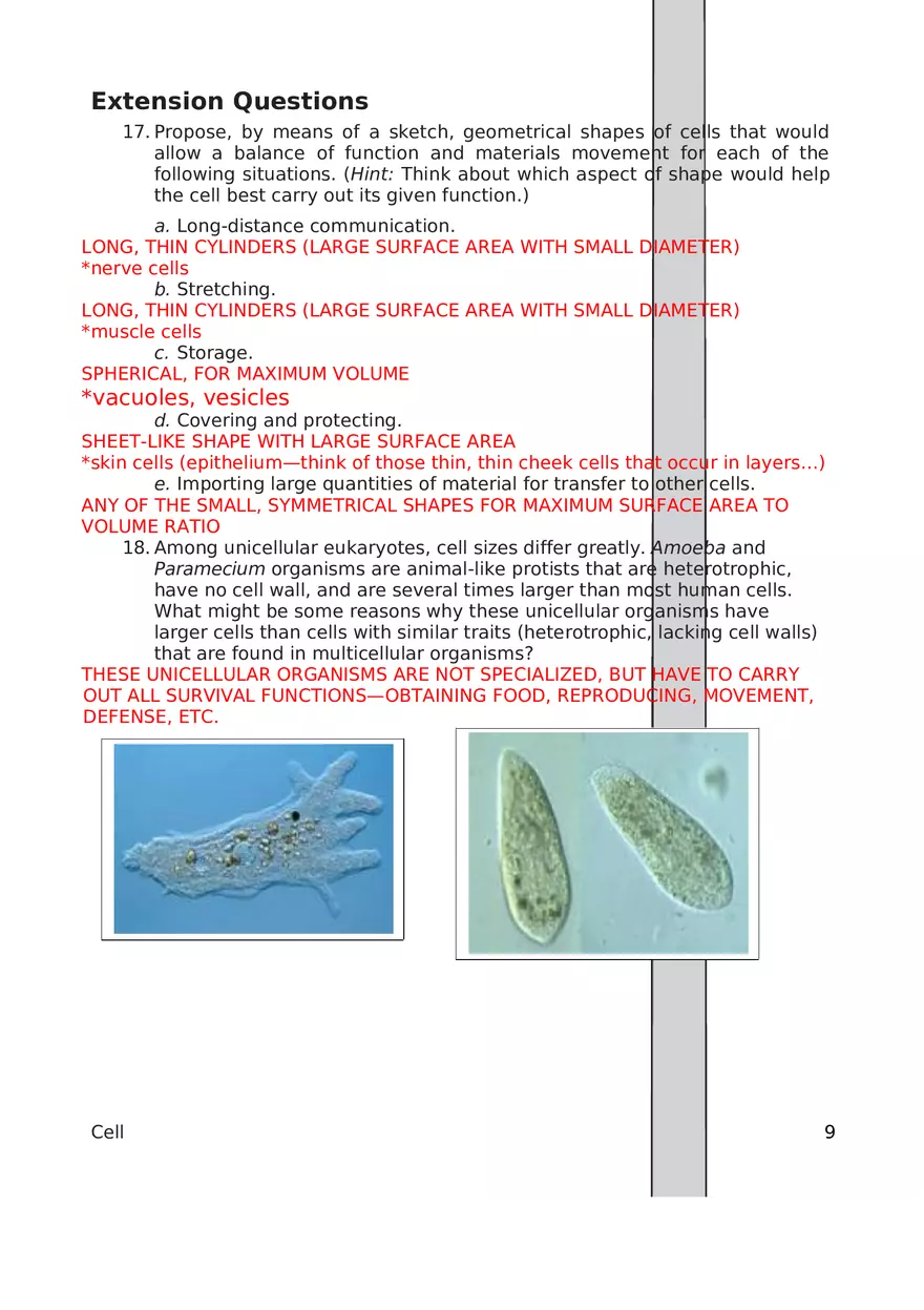 Cell Size Key - Page 9