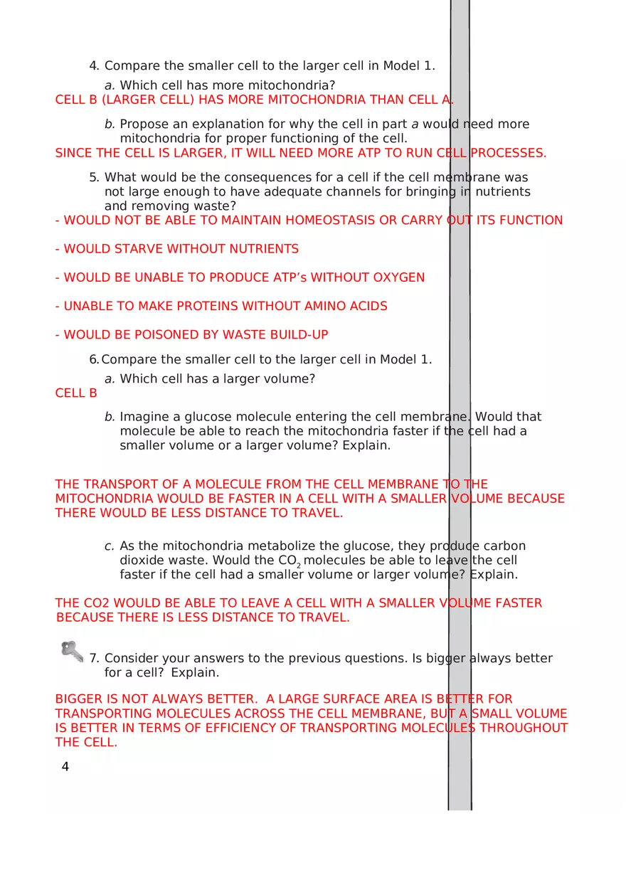 Cell Size Key - Page 4