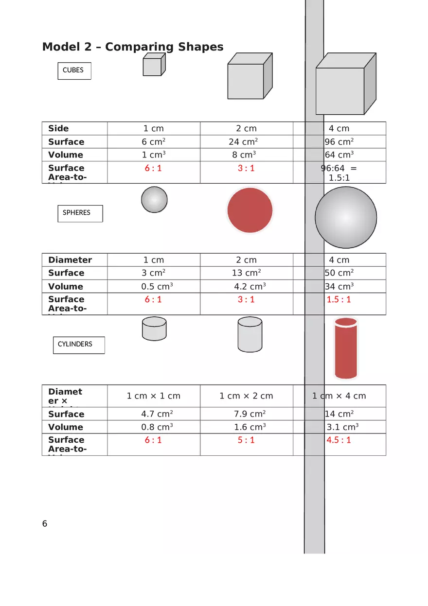 Cell Size Key - Page 6