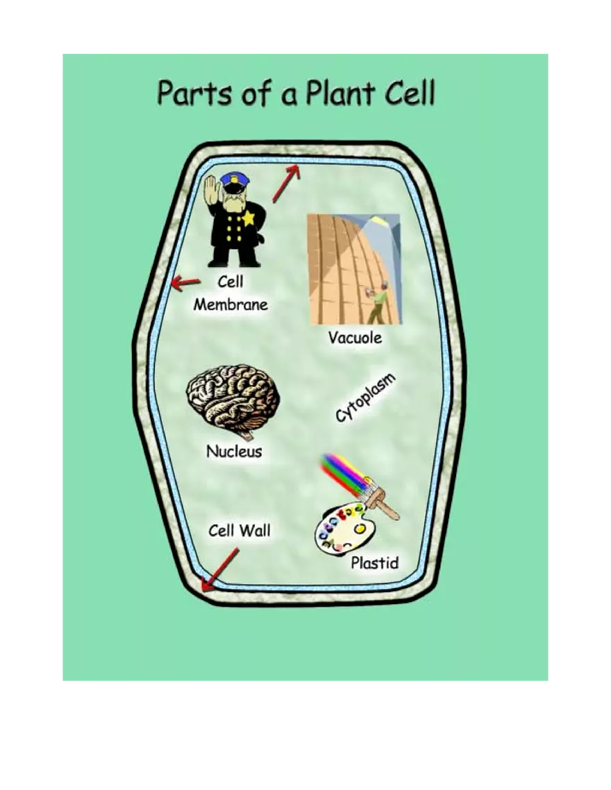 Parts of the Cell - Page 2
