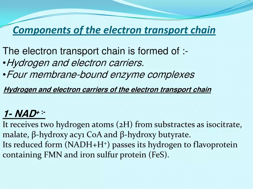 Biological Oxidation - Page 11