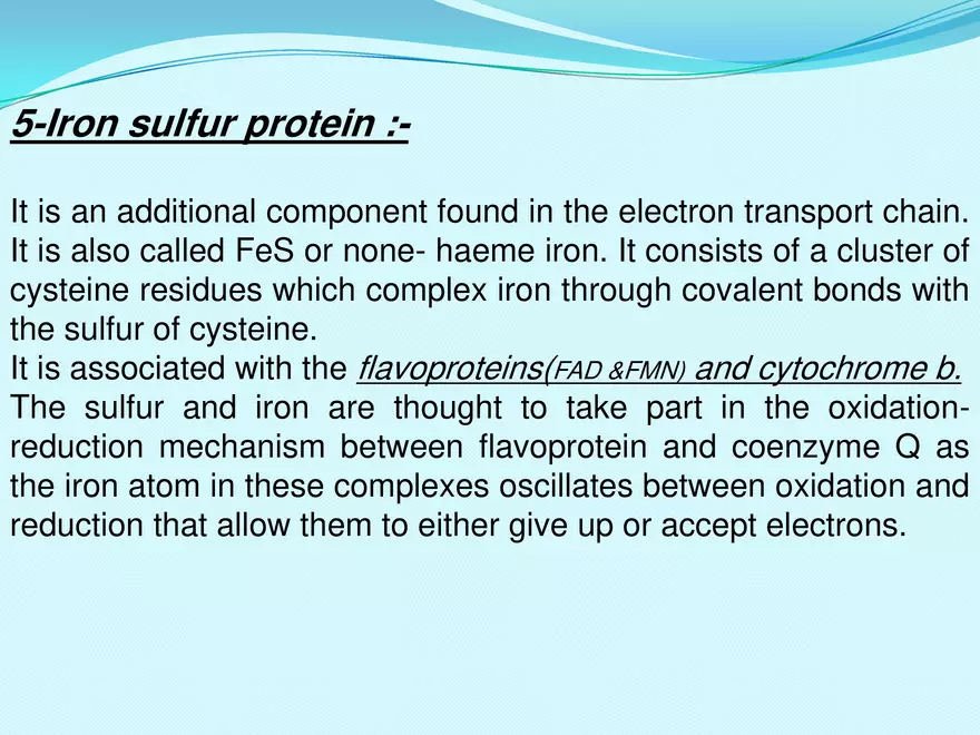 Biological Oxidation - Page 16