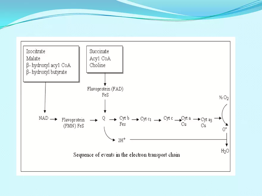 Biological Oxidation - Page 21