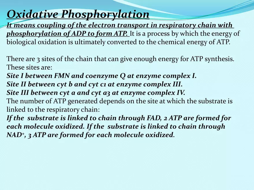 Biological Oxidation - Page 22