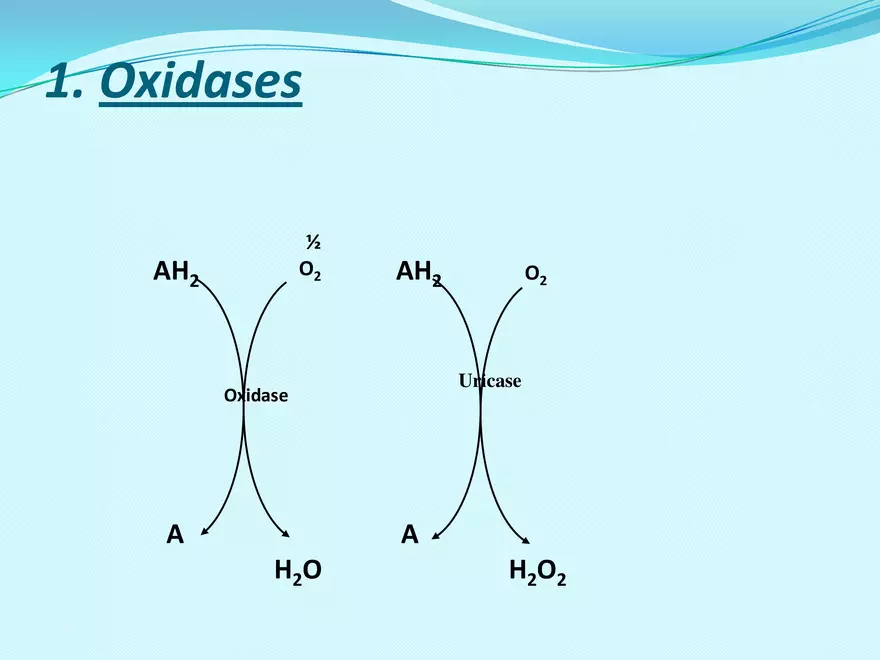 Biological Oxidation - Page 24