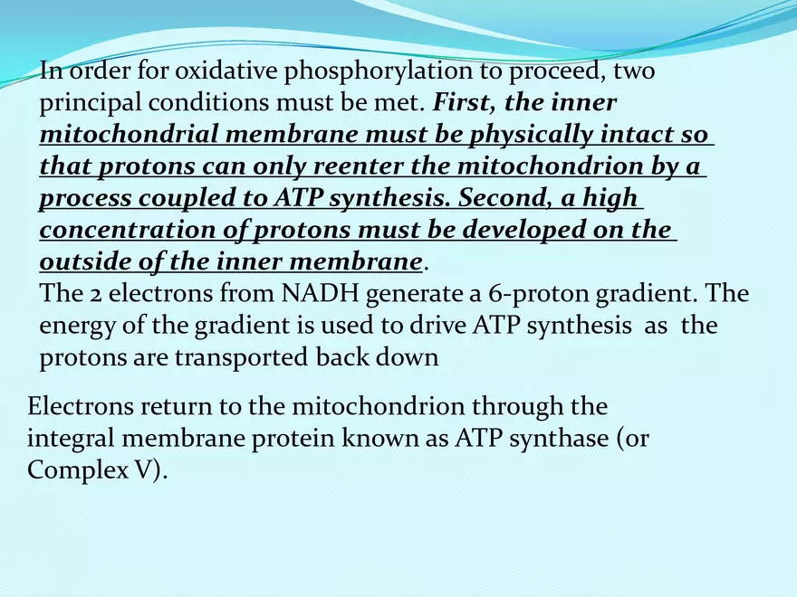 Biological Oxidation - Page 26