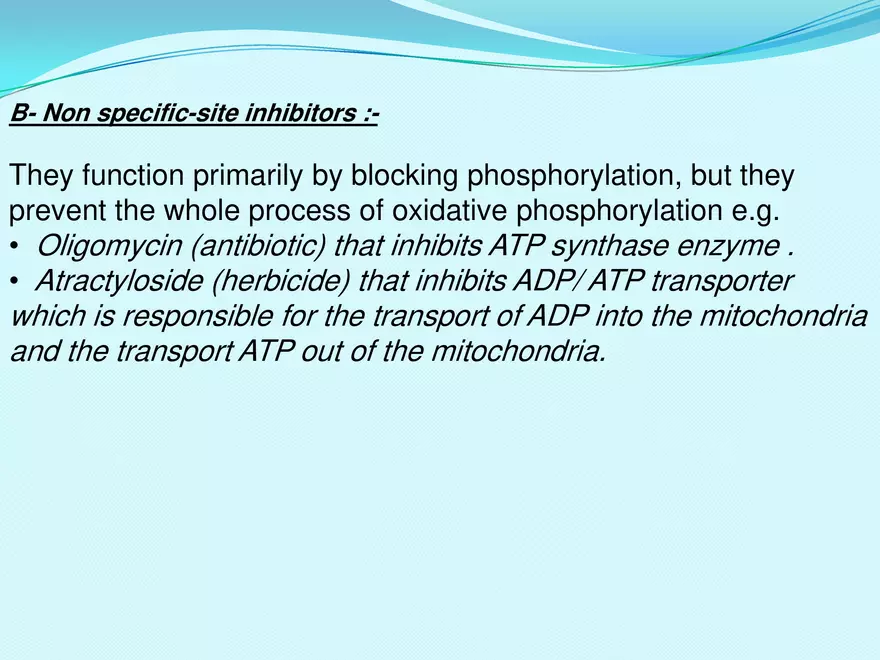 Biological Oxidation - Page 31