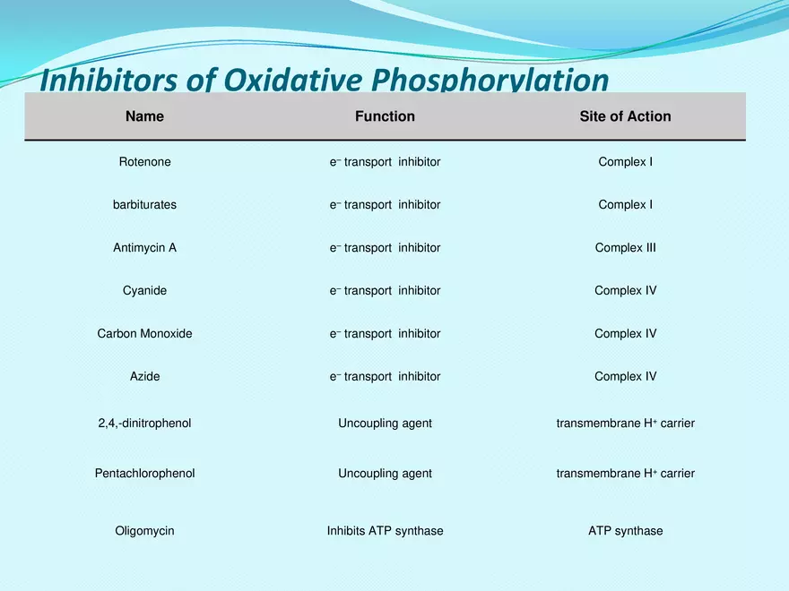 Biological Oxidation - Page 32