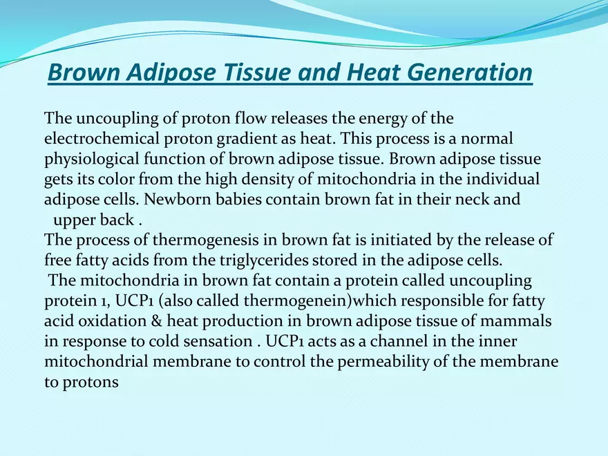 Biological Oxidation - Page 34
