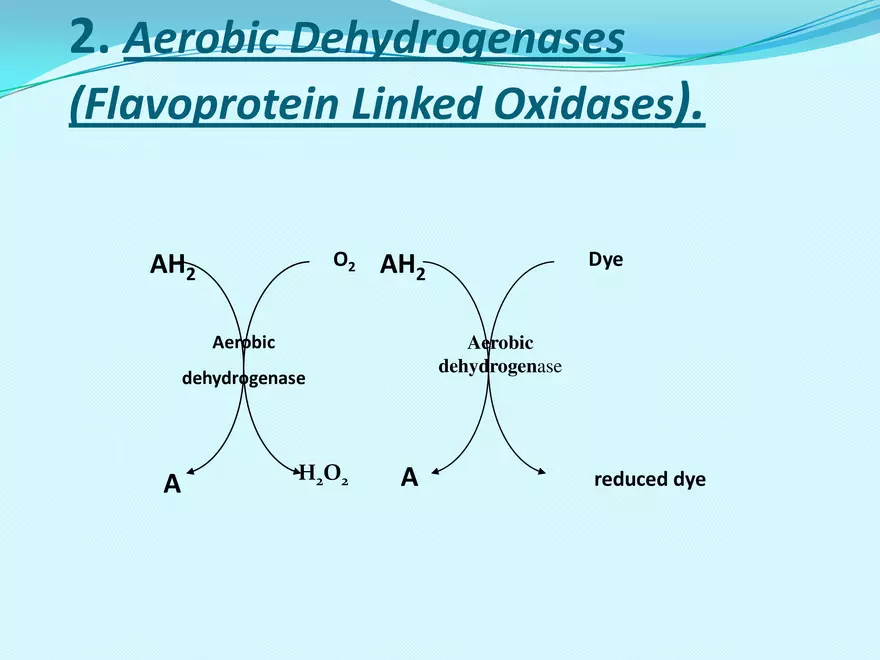 Biological Oxidation - Page 35