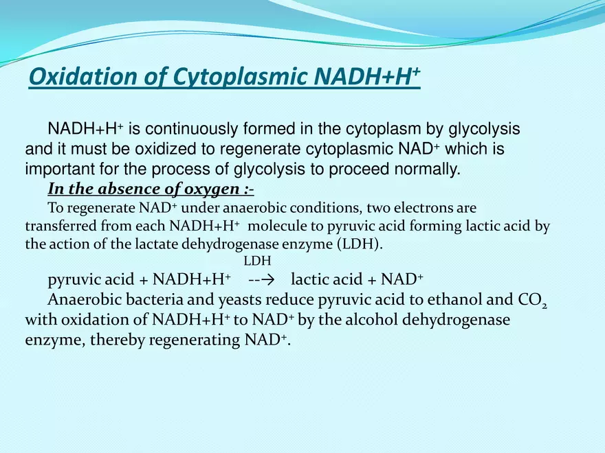 Biological Oxidation - Page 37