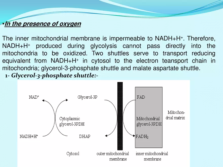 Biological Oxidation - Page 38