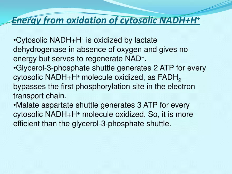 Biological Oxidation - Page 40