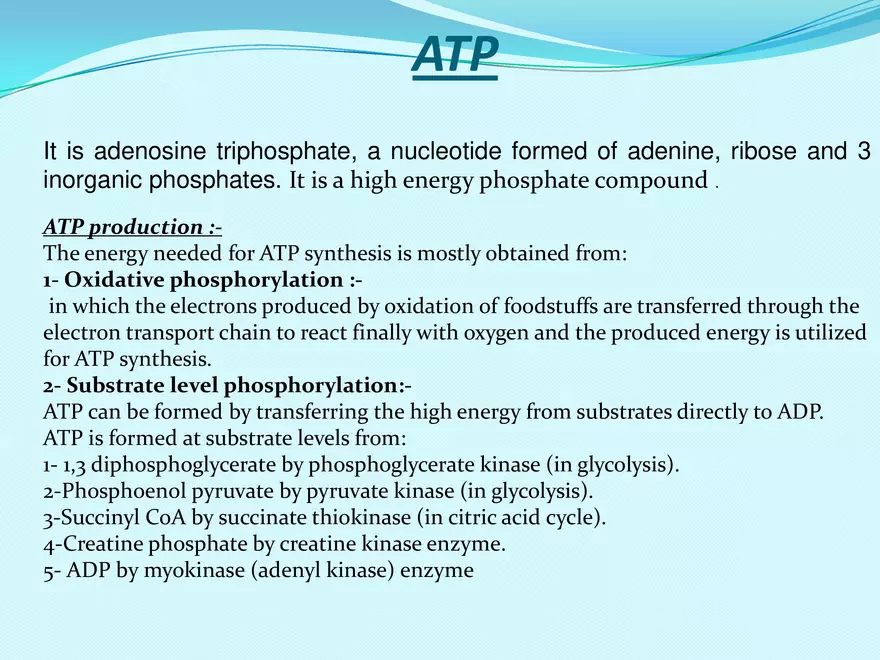 Biological Oxidation - Page 42