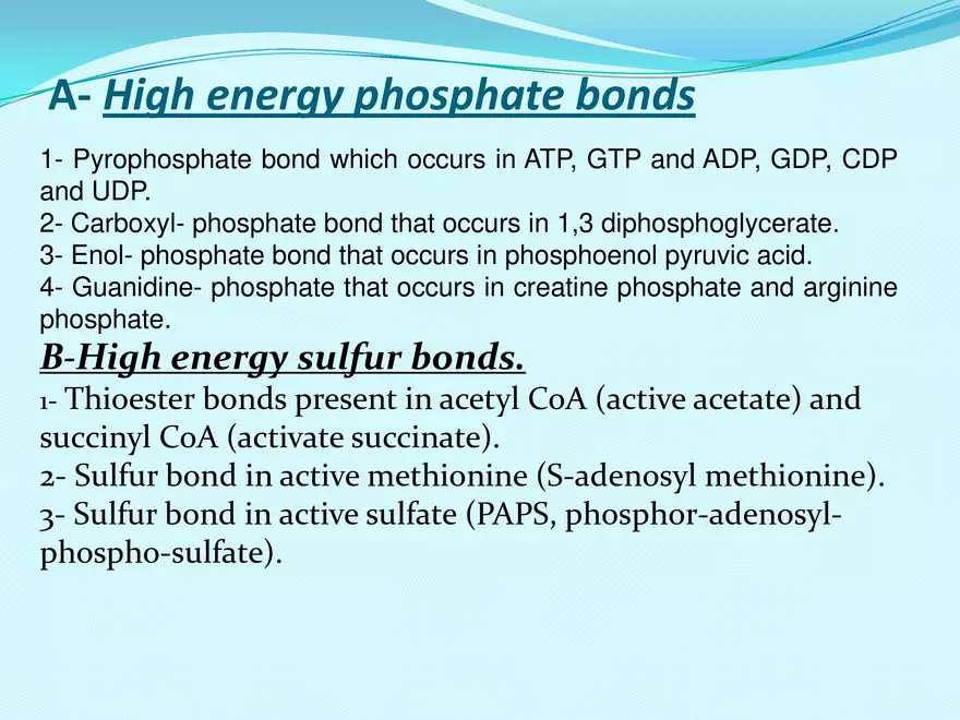 Biological Oxidation - Page 47